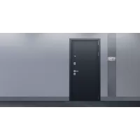 Входная дверь Спартак Б с зеркалом