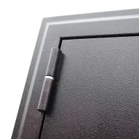 Входная дверь Спартак с зеркалом