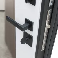 Входная дверь Velvet с зеркалом