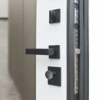 Входная дверь Velvet с зеркалом