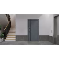 Входная дверь Forest