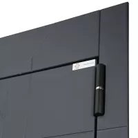 Входная дверь Forest