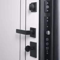 Входная дверь Forest