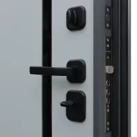 Входная дверь Манчестер