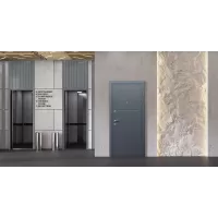 Входная дверь Техно XN 91 U