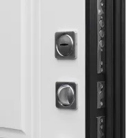 Входная дверь Техно XN 91 U