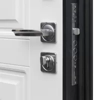 Входная дверь Техно XN 91 U