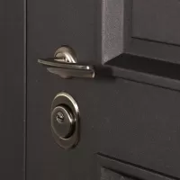 Входная дверь Аляска (Статус коньяк, терморазрыв 3к)