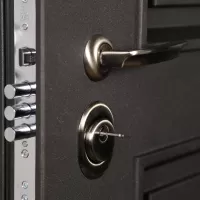 Входная дверь Аляска (Статус коньяк, терморазрыв 3к)