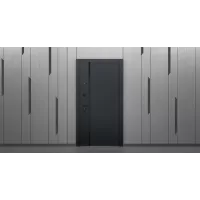 Входная дверь Ньюкасл с зеркалом