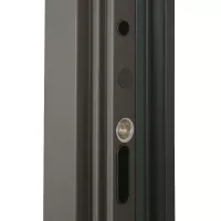 Входная дверь Тайга с зеркалом (терморазрыв 3к)