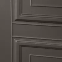 Входная дверь Тайга с зеркалом (терморазрыв 3к)