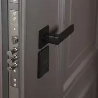 Входная дверь Тайга с зеркалом (терморазрыв 3к)