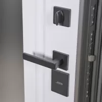 Входная дверь Тайга с зеркалом (терморазрыв 3к)