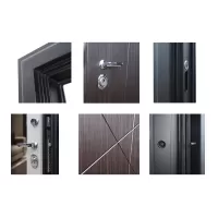 Входная дверь Вектор с зеркалом