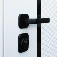 Входная дверь Ливерпуль с зеркалом