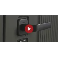 Входная дверь Scandi