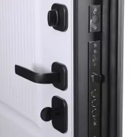 Входная дверь Scandi