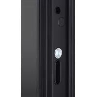 Входная дверь Solana