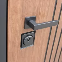 Входная дверь Velvet