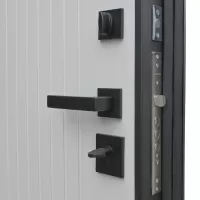 Входная дверь Velvet