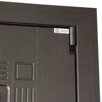 Входная дверь Викинг