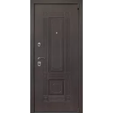 Входная дверь Викинг