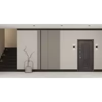 Входная дверь Викинг