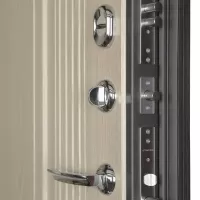 Входная дверь Викинг