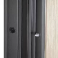 Входная дверь Викинг