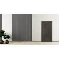 Входная дверь Викинг с зеркалом