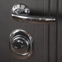 Входная дверь Викинг с зеркалом